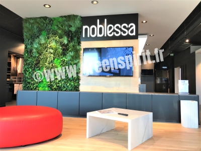 SHOWROOM NOBLESSA CUISINES