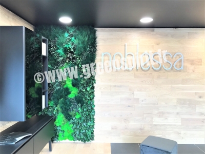 SHOWROOM NOBLESSA CUISINES