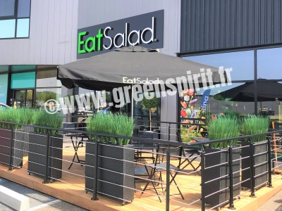 RESTAURANT EAT SALAD